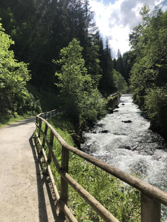 Mei-So-Nett Appartement Hutegger Schladming Kültér fotó