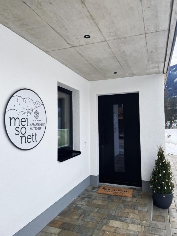 Mei-So-Nett Appartement Hutegger Schladming Kültér fotó