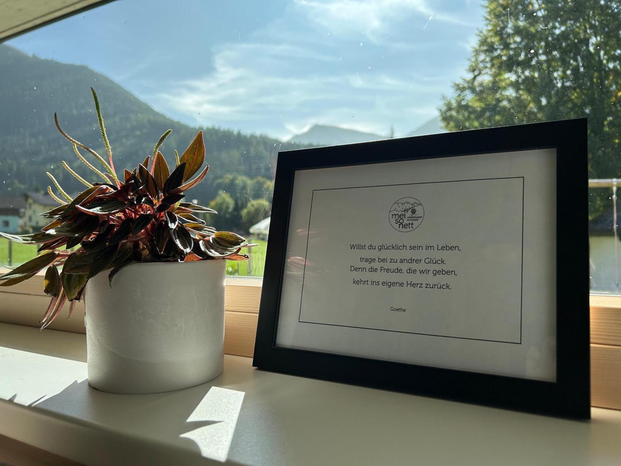 Mei-So-Nett Appartement Hutegger Schladming Kültér fotó